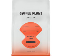 Coffee Plant Etiopia Guji 250 g