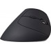 V7 BLUETOOTH VERTICAL ERGO MOUSE