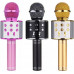 Renew Force MIKROFON KARAOKE BLUETOOTH WM-308