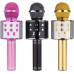 Renew Force MIKROFON KARAOKE BLUETOOTH WM-308