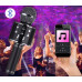 Renew Force MIKROFON KARAOKE BLUETOOTH WM-308