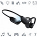 kostne Manta Skeleton II MBC102