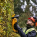 DeWalt DCMHT564N-XJ Hedge Trimmer - 18V - SOLO