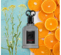 Zimaya Stallion EDP