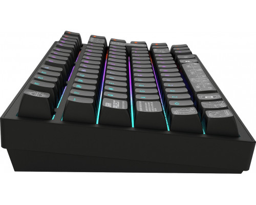 ALU81A Terra Nova Black, G3MS Moonstone Switch UK/DE ISO