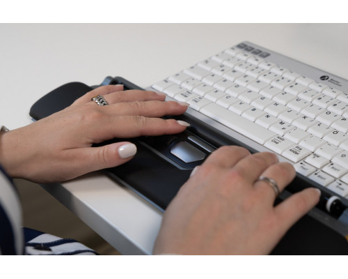 BakkerElkhuizen Maus ErgoSlider Plus Central Mouse retail