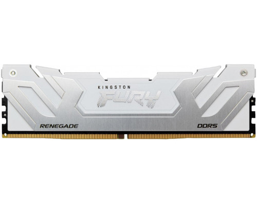 Kingston Fury Renegade, DDR5, 24 GB, 8800MHz, CL42 (KF588CU42RW-24)
