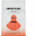 COFFEE PLANT - kawa ziarnista Rwanda Humure Natural Filter 250 g