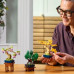 LEGO Botanicals Małe drzewka bonsai (10373)
