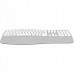 YKB 2100 CSGY WL keyboard SWIFT YENKEE