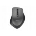 Asus WT425 MOUSE/GY