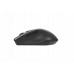 Asus WT425 MOUSE/GY