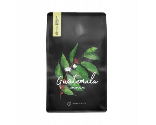 COFFEE PLANT Gwatemala Amapolas 250g