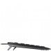 CHERRY STREAM klawiatura Dom/Biuro USB QWERTY Portugalski Czarny, Szary