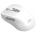Port MOUSE RECHARGEABLE BLUETOOTH PRO USB-C & USB-A White