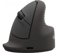 Fellowes pionowa Breyta medium right