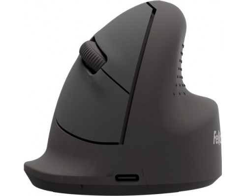 Fellowes pionowa Breyta medium right