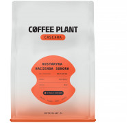 COFFEE PLANT CASCARA Hacienda Sonora 180g