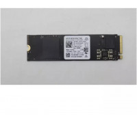 256GB M.2 PCIe NVMe SSD with