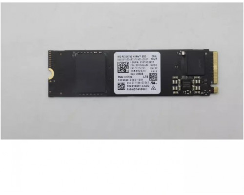 256GB M.2 PCIe NVMe SSD with