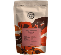 Instytut Kawy - kawa ziarnista Indie Karnataka Plantacja Washed Espresso 250 g