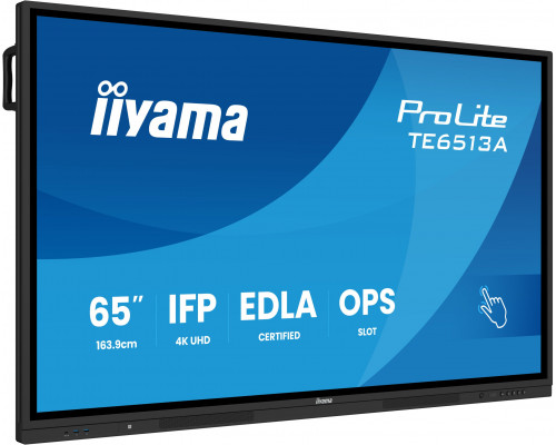 iiyama ProLite TE6513A-B2AG