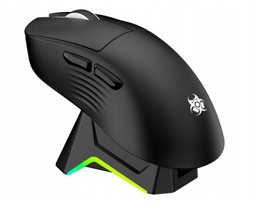 Tracer GAMEZONE NORD RGB 2.4GHz BT ze Stacją Dokującą (TRAMYS47842)