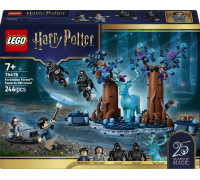 LEGO Harry Potter Zakazany Las: Expecto Patronum (76475)
