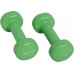 Schildkrot dumbbells vinyl 2 x 0.5 kg