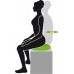 Schildkrot Sēžamā bumba Seat Cushion Fit (P7836)
