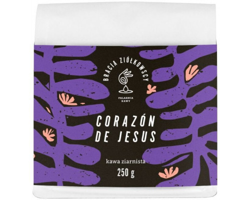 Bracia Ziółkowscy Kostaryka Corazon de Jesus 250 g