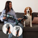 Cecotec Conga Rockstar 2500 Thunder Pet Flex Corded operating 400 W 33.6 V Operating time (max) 65 min Black/Blue