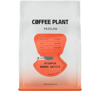 Coffee Plant Zairnista Etiopia Banko Gotiti 250g (5904800244396)