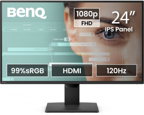 BenQ GW2490P