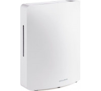 Stylies Leonis White