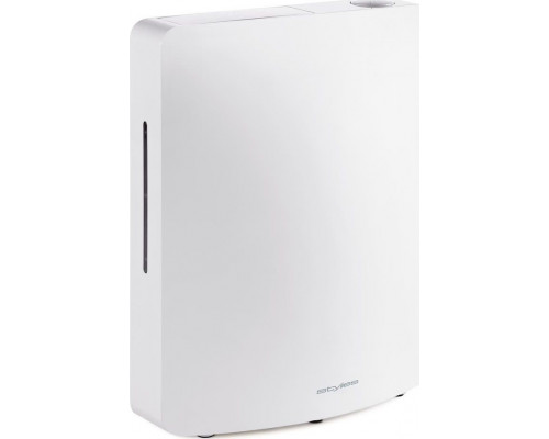 Stylies Leonis White