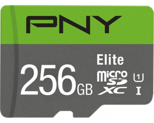 SD  PNY Elite MicroSDXC 256 GB Class 10 UHS-I/U1 A1 V10 (P-SDU256V11100EL-GE)