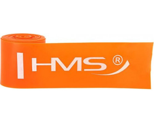 HMS Flex FB02 maza pretestība oranža 1 gab.
