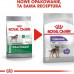 Royal Canin Royal Canin Mini Sterilised karma dry for dogs adults, races small ones, sterilized 3kg