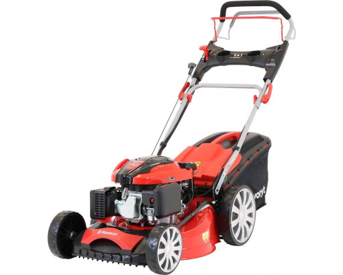 Faworyt SHA51N196L-4W1