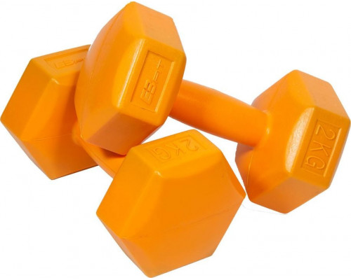 Eb Fit ‎‎Dumbbells 1027029 bituminous 2 x 2 kg