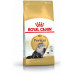 Royal Canin Persian Adult karma sucha dla kotów adults rasy perskiej 10 kg