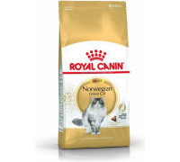 Royal Canin Norwegian Adult 2 kg
