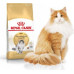 Royal Canin Norwegian Adult 2 kg