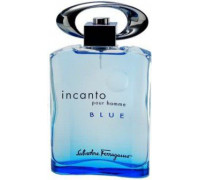 Salvatore Ferragamo Incanto Pour Homme Blue EDT 100 ml
