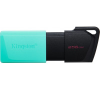 Pendrive Kingston DataTraveler Exodia M, 256 GB  (DTXM/256GB)