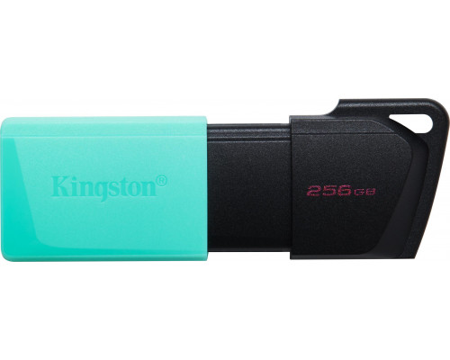 Pendrive Kingston DataTraveler Exodia M, 256 GB  (DTXM/256GB)