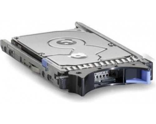 IBM 300GB 2.5'' SAS-1 (3Gb/s)  (FRU81Y9671)