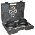 HMS dumbbells ST20 cast iron 2 x 10 kg