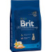Brit Premium Kitten 300g
